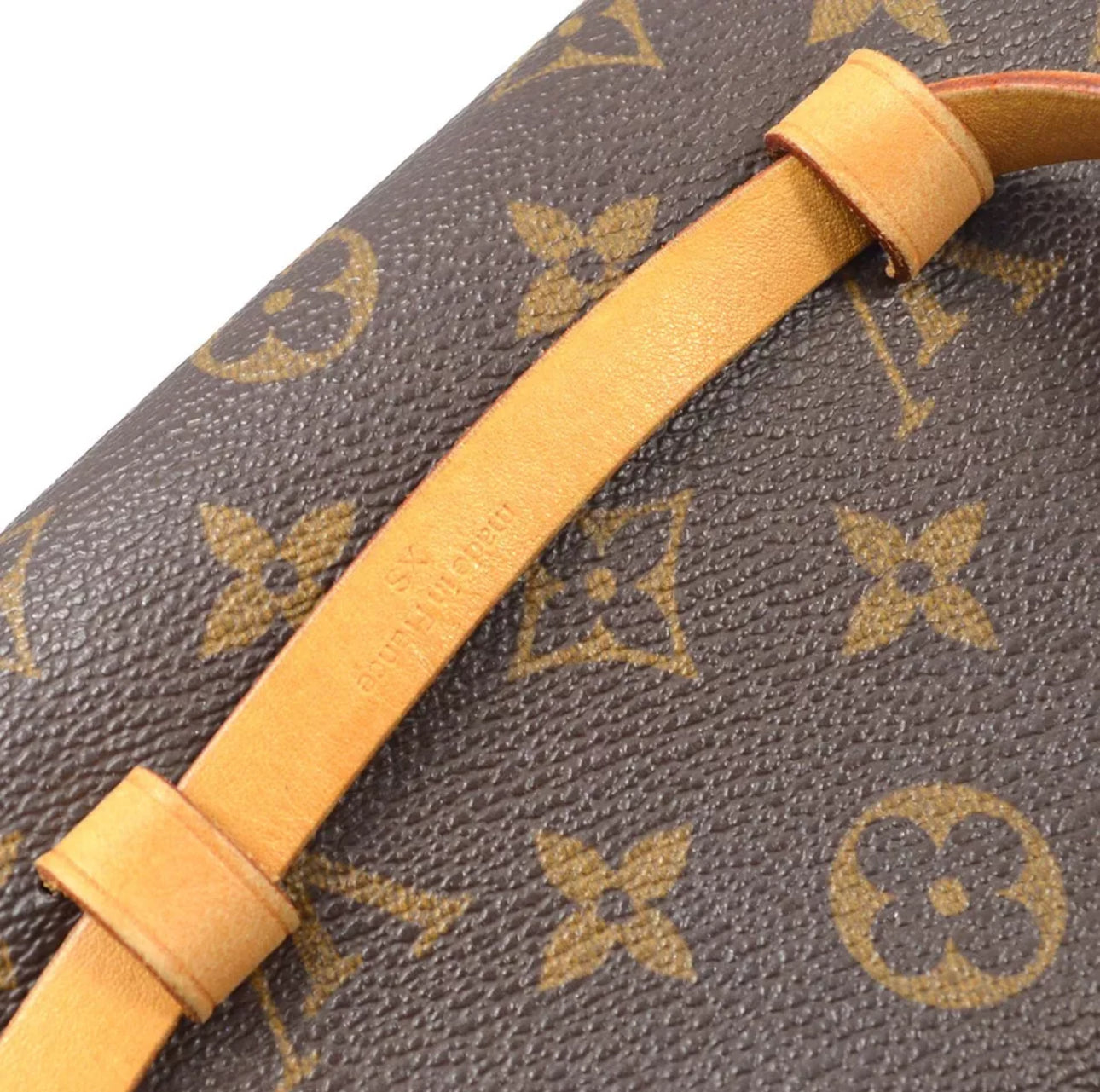 Louis Vuitton Florentine Monogram Bum Bag XS